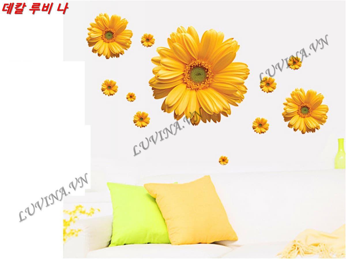 DECAL TRANG TRÍ HOA ĐỒNG TIỀN VÀNG