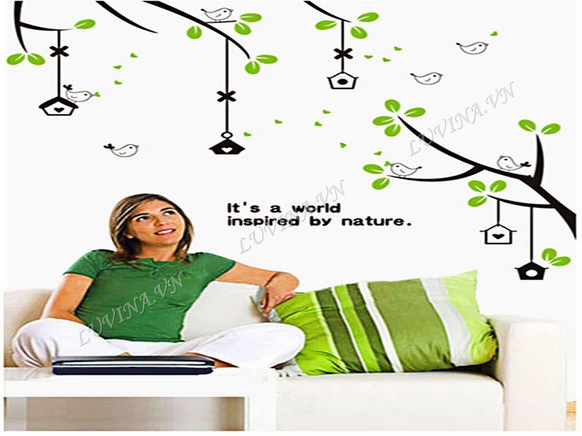 Decal trang trí Cây treo ảnh